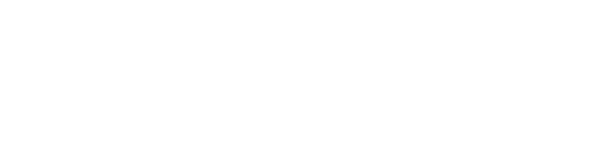 sergnese-logo